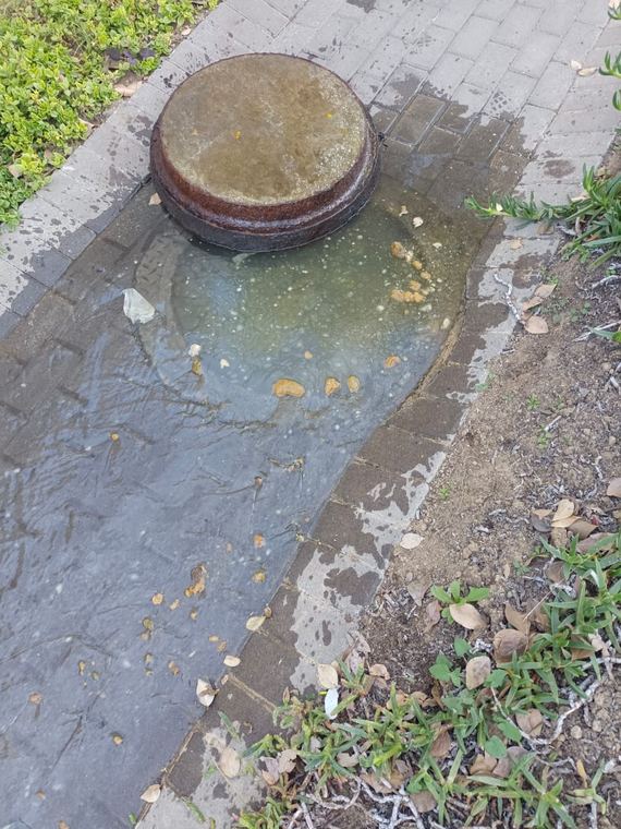 Blocked drain in Pretoria
