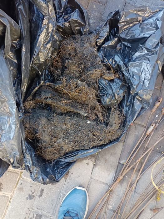 Blocked drain diagnosis, clearing and repair work