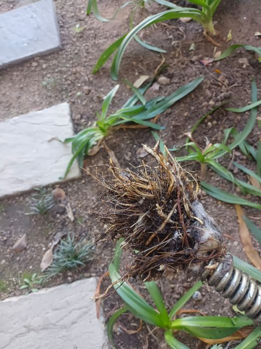 Blocked drain diagnosis, clearing and repair work