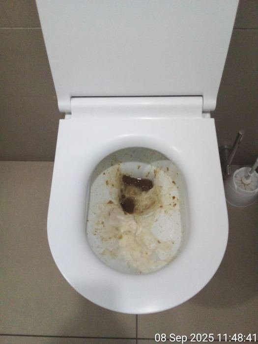 Blocked drain diagnosis, clearing and repair work
