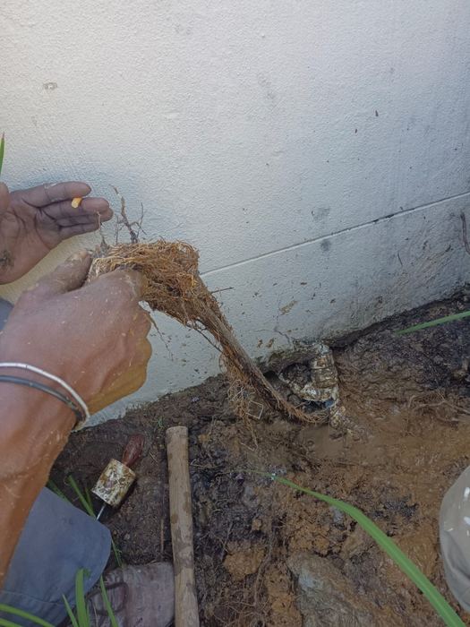 Blocked drain diagnosis, clearing and repair work