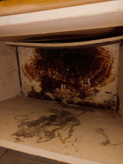 Leak detection and pipe repair work