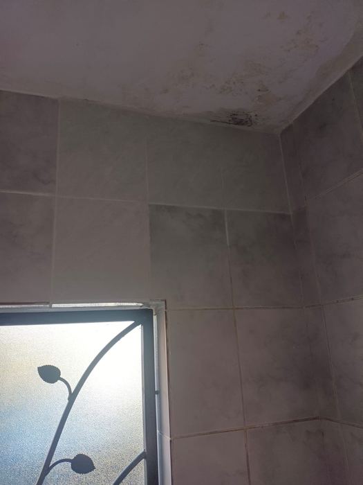 Leak detection and pipe repair work