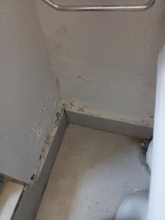 Leak detection and pipe repair work