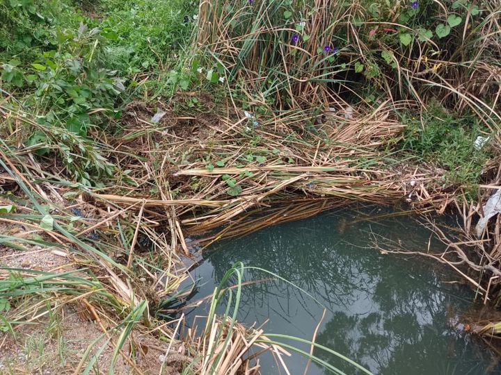 Blocked outdoor drainage channel with stagnant water and vegetation